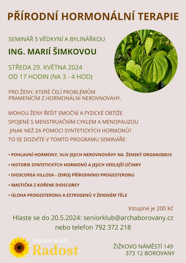 Hormonální terapie
