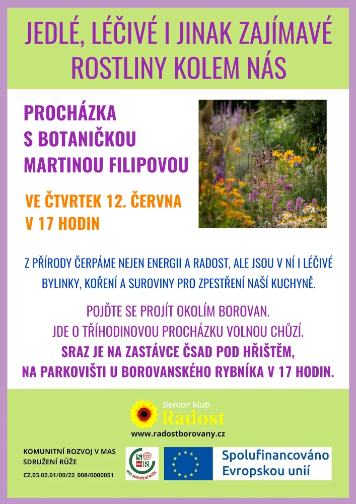 2025-06-12 Bylinky